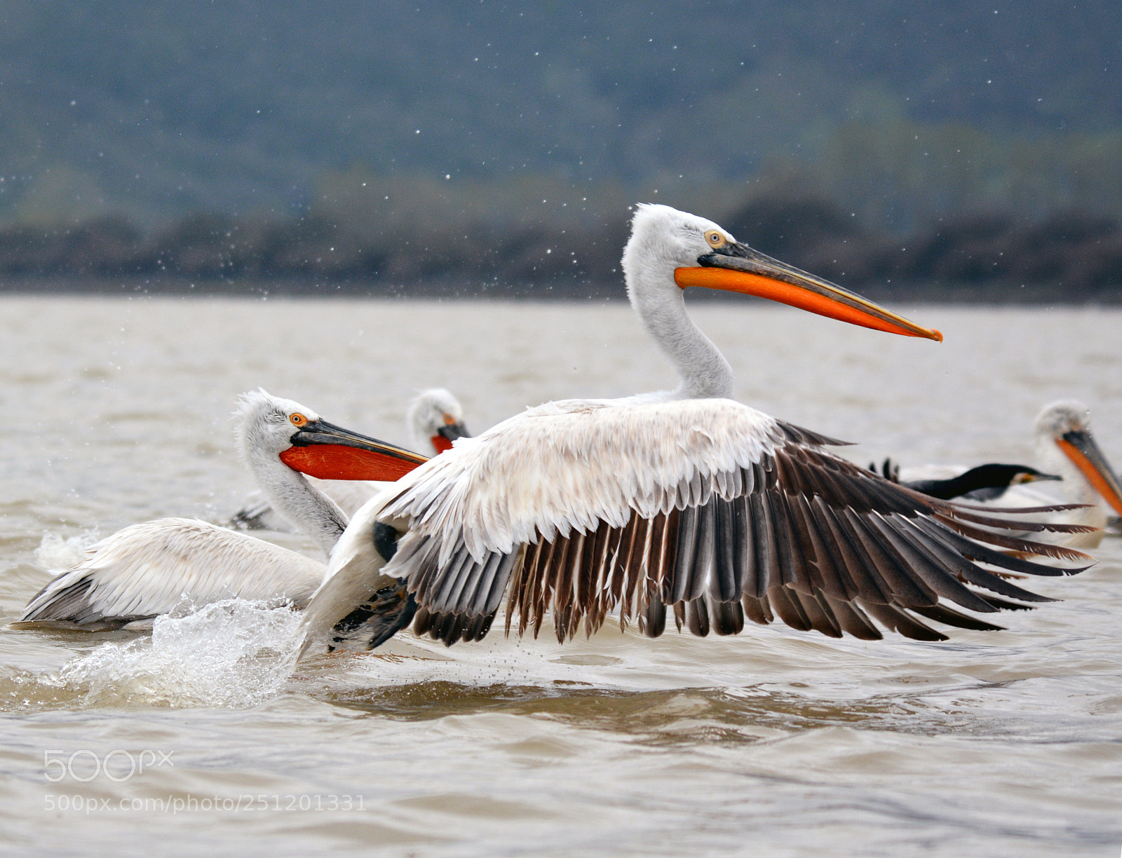 Nikon D7100 sample photo. А photography