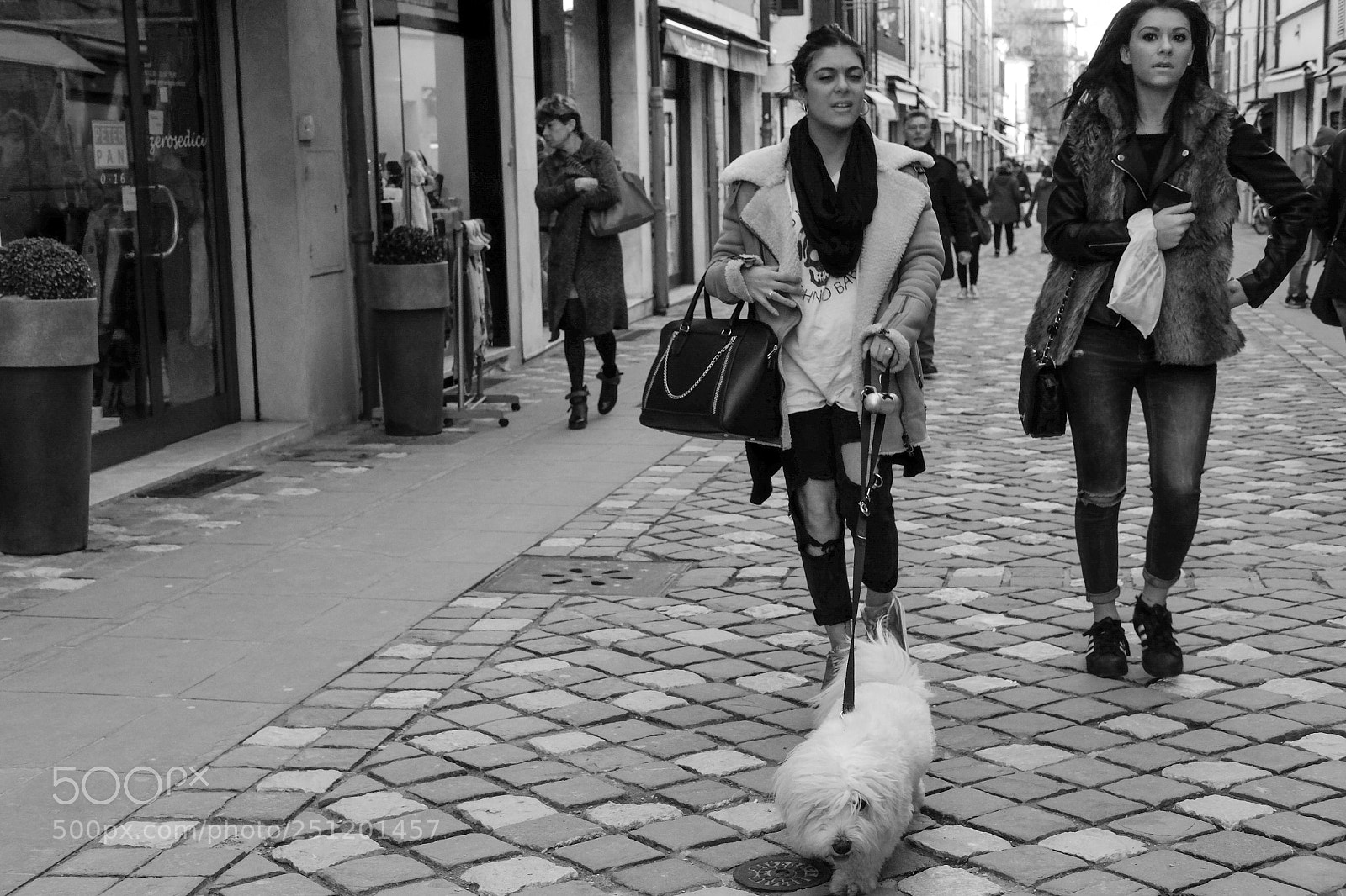 Fujifilm X-E1 sample photo. No title photography