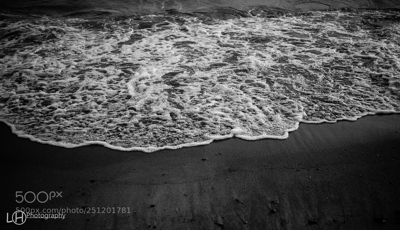 Nikon D810 sample photo. Untitled photography