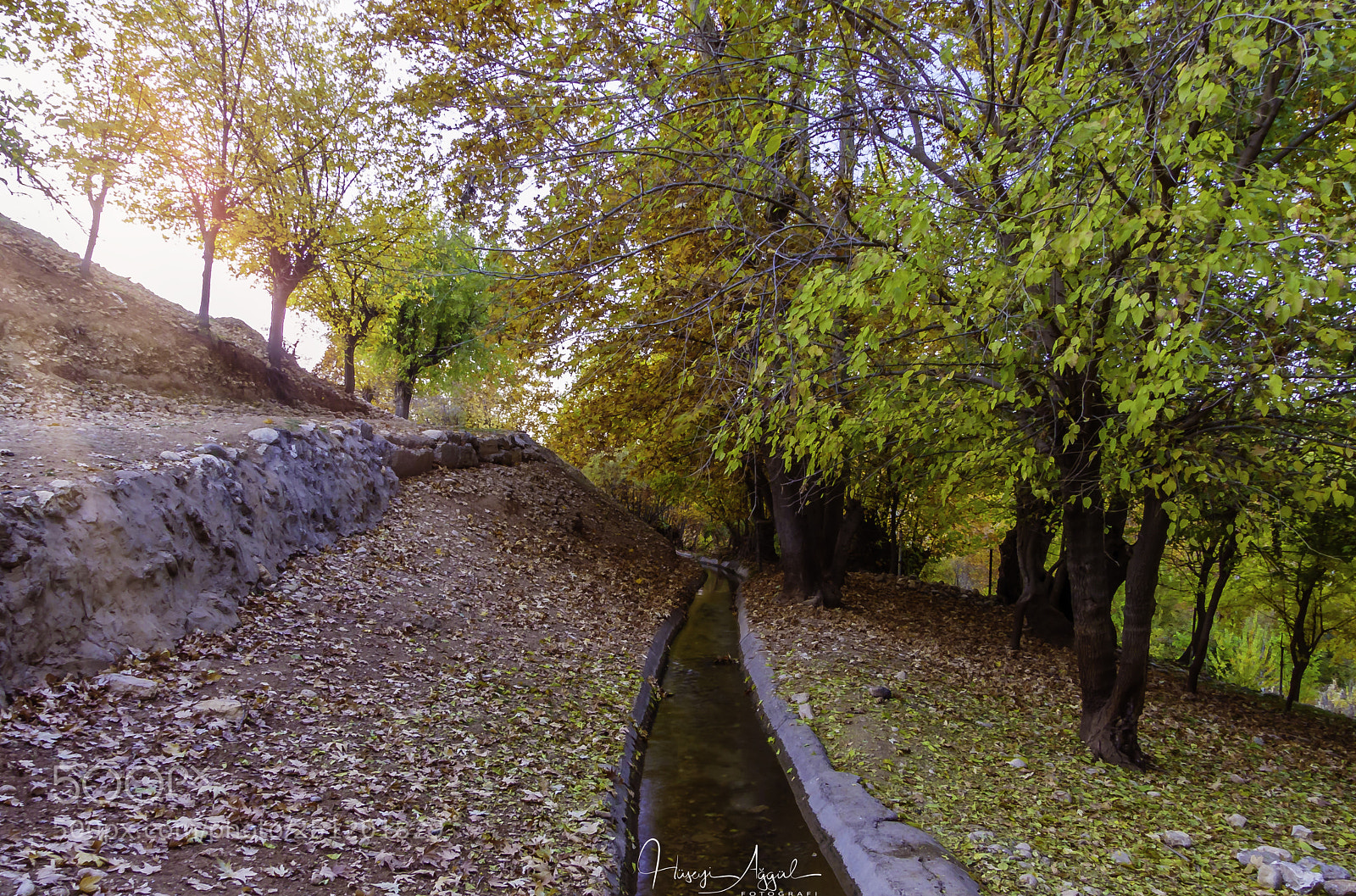 Panasonic Lumix DMC-FZ300 sample photo. Sonbahar photography
