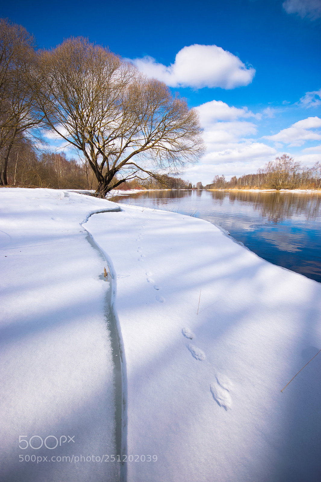 Nikon D3300 sample photo. Traces on ice photography