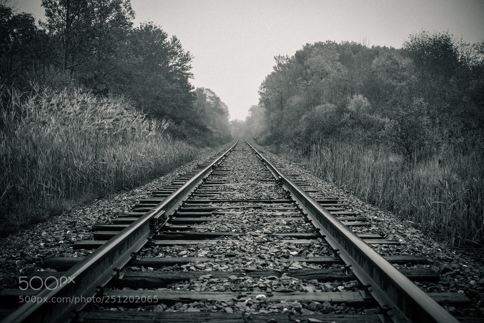 Sony a6000 sample photo. Abandoned rail photography
