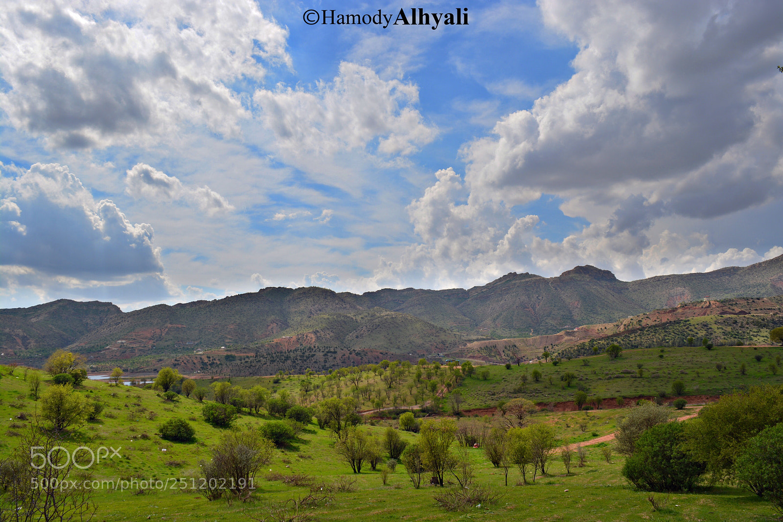 Nikon D5200 sample photo. Untitled photography