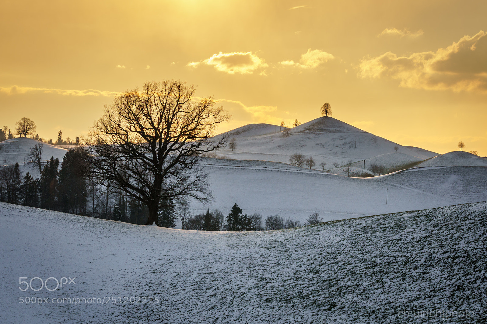 Sony a6500 sample photo. Drumlins and winter sun photography