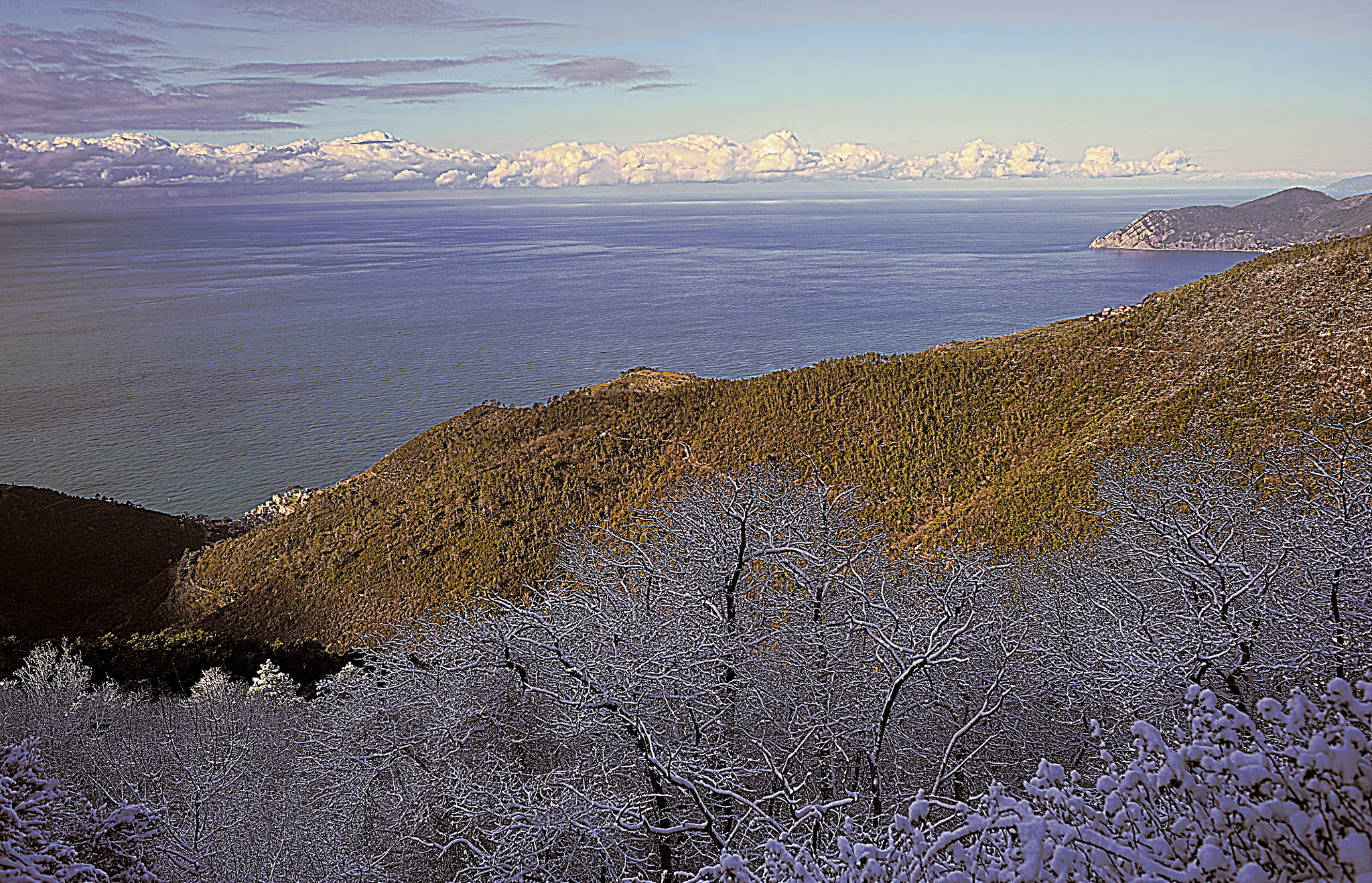 Nikon D700 + Manual Lens No CPU sample photo. Winter morning photography