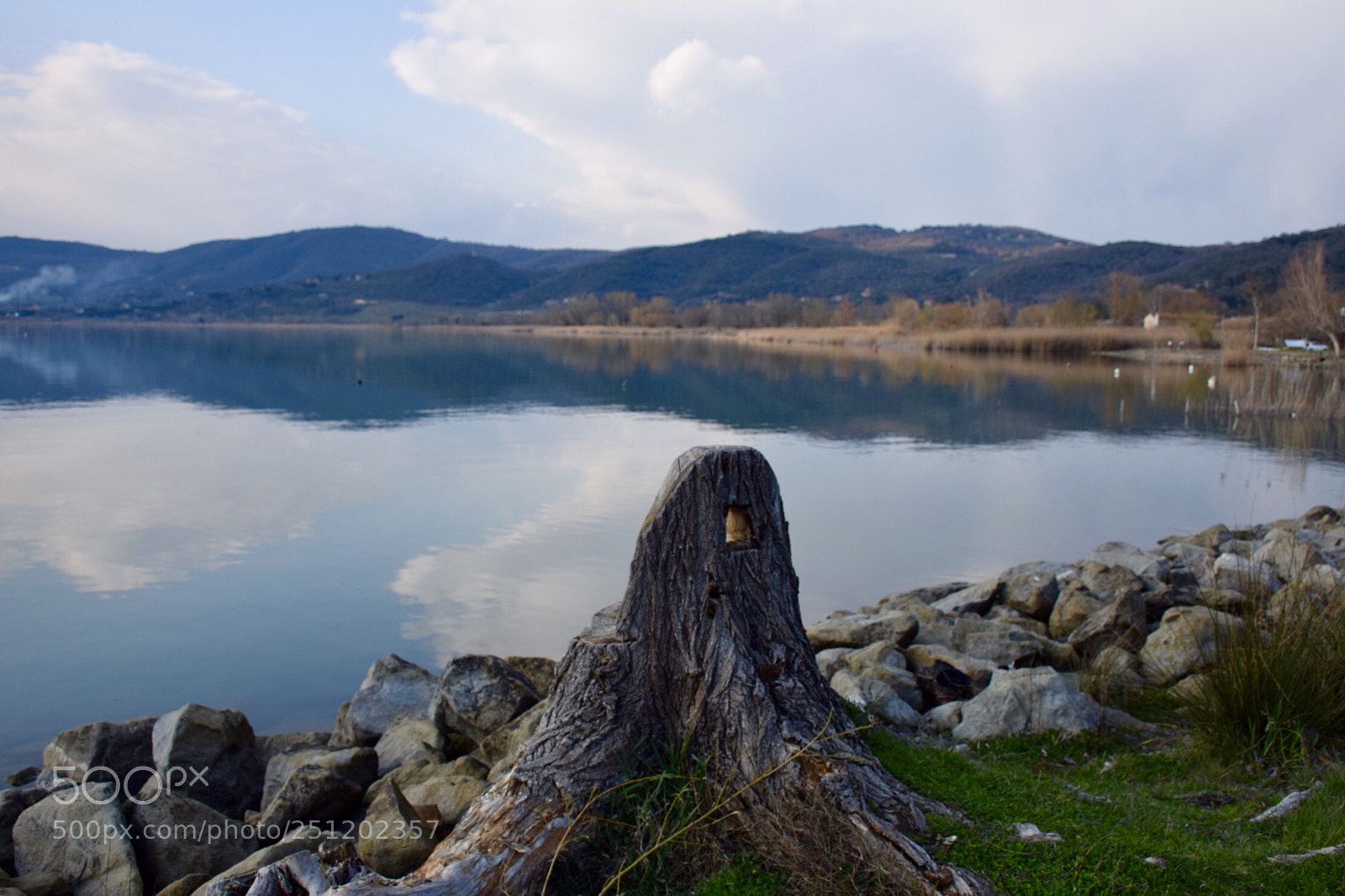 Nikon D5300 sample photo. Perfect days  photography
