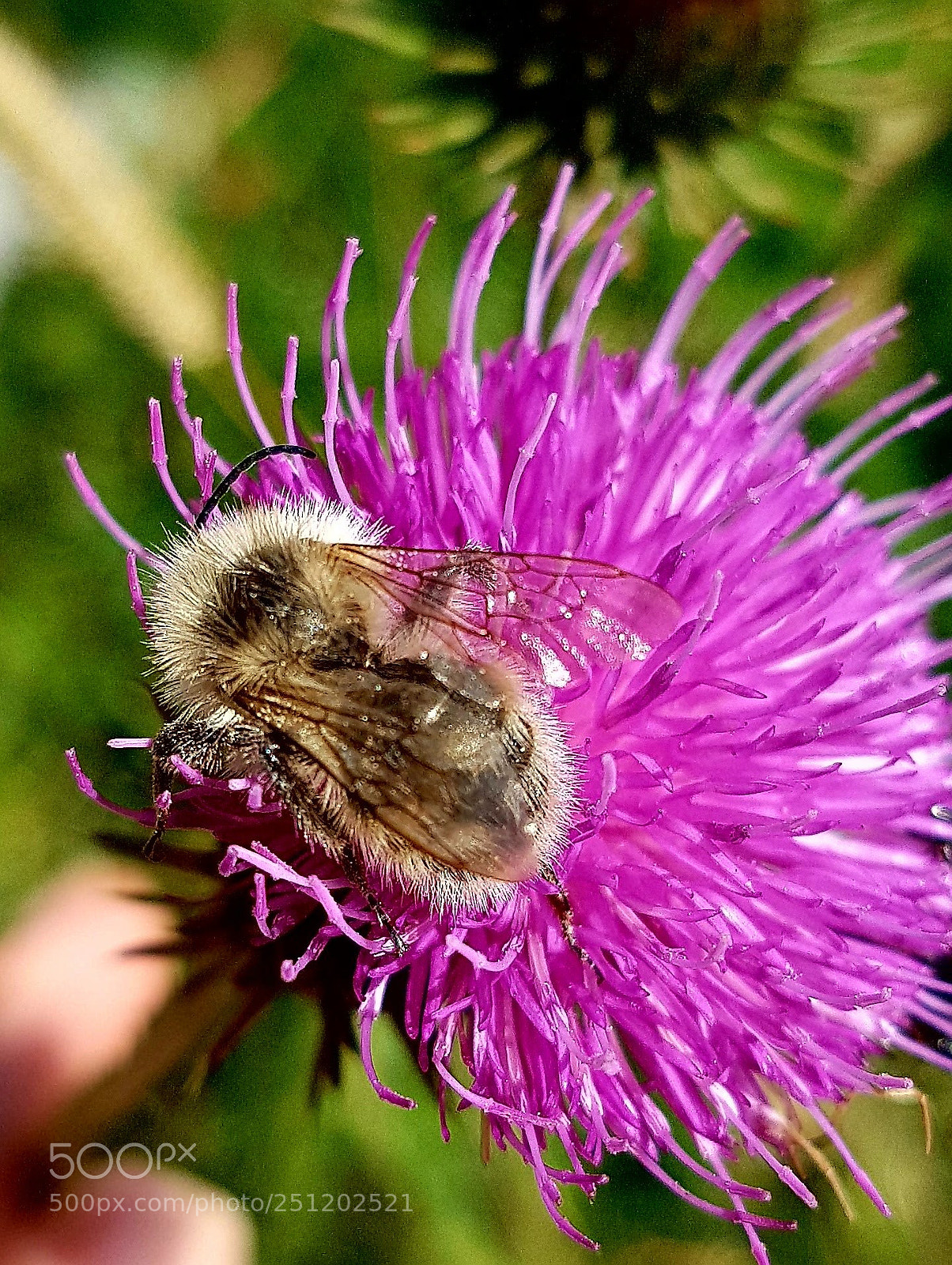 Samsung Galaxy S7 sample photo. Untitled photography