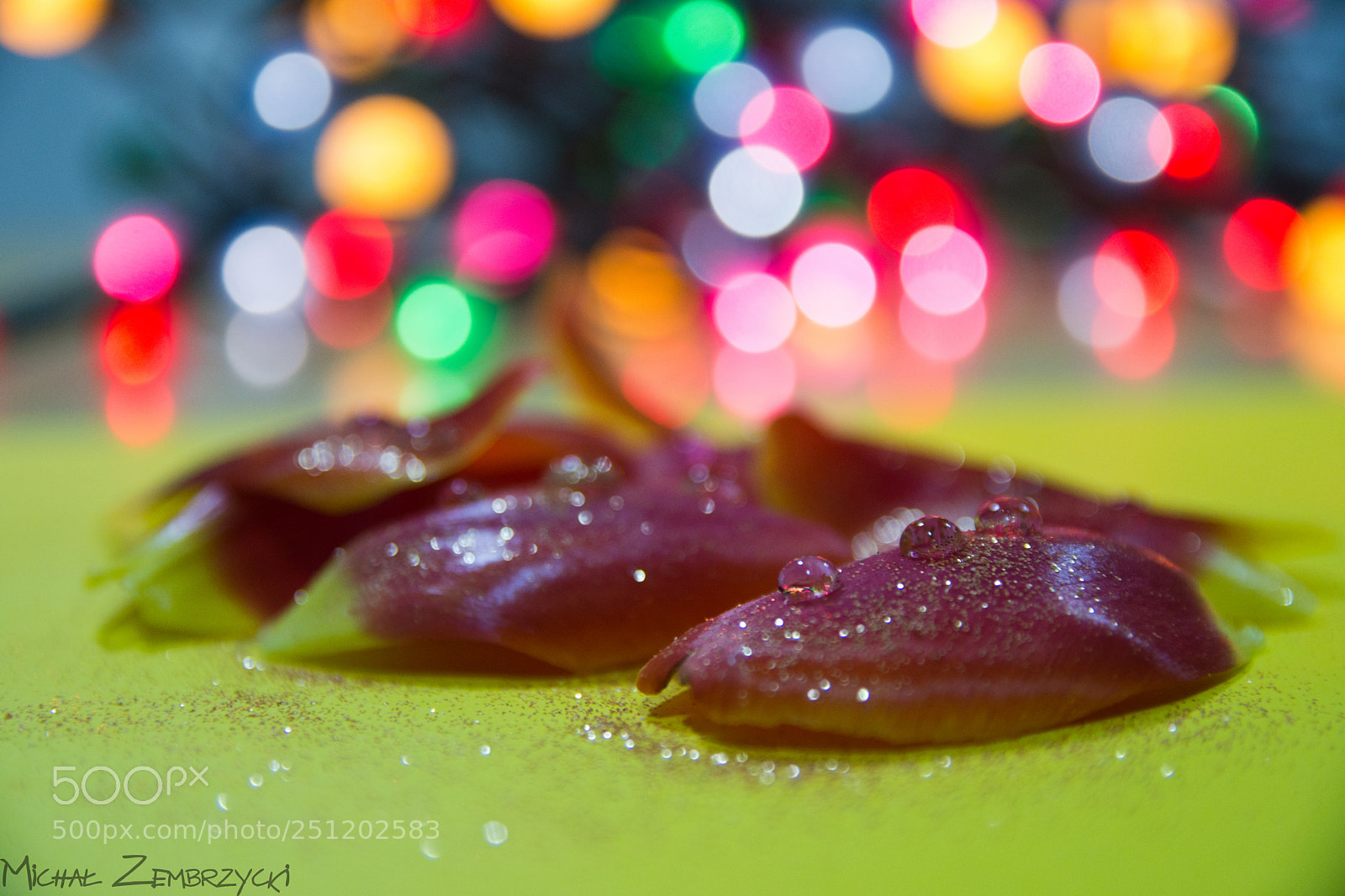 Nikon D7200 sample photo. Untitled photography