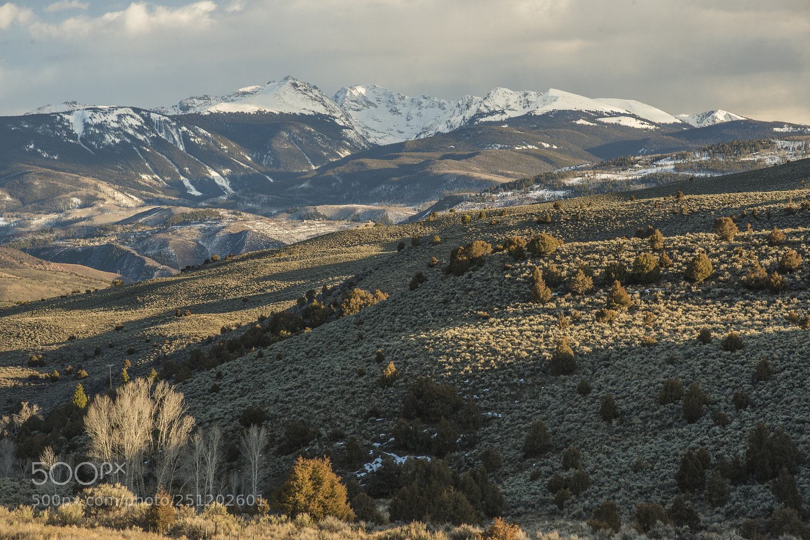 Nikon D800 sample photo. Climate zones photography