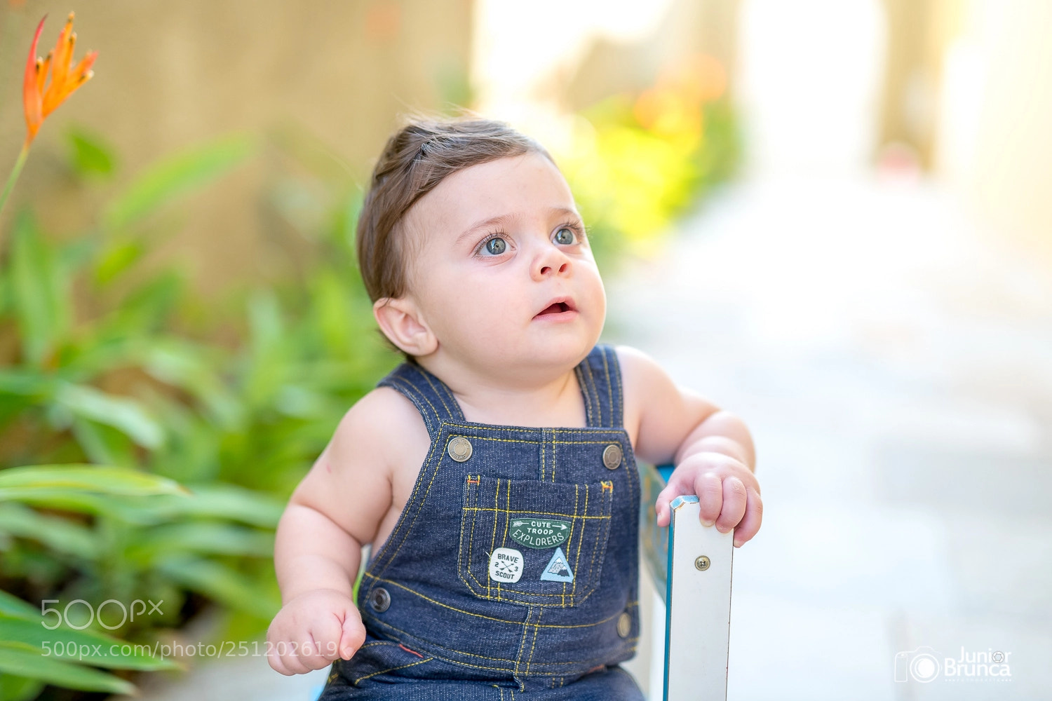 Nikon D850 sample photo. Lucas 15 photography