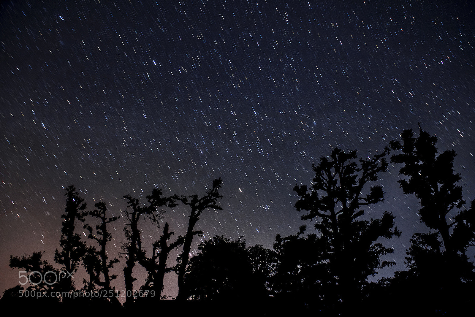 Nikon D810 sample photo. A sky full of photography