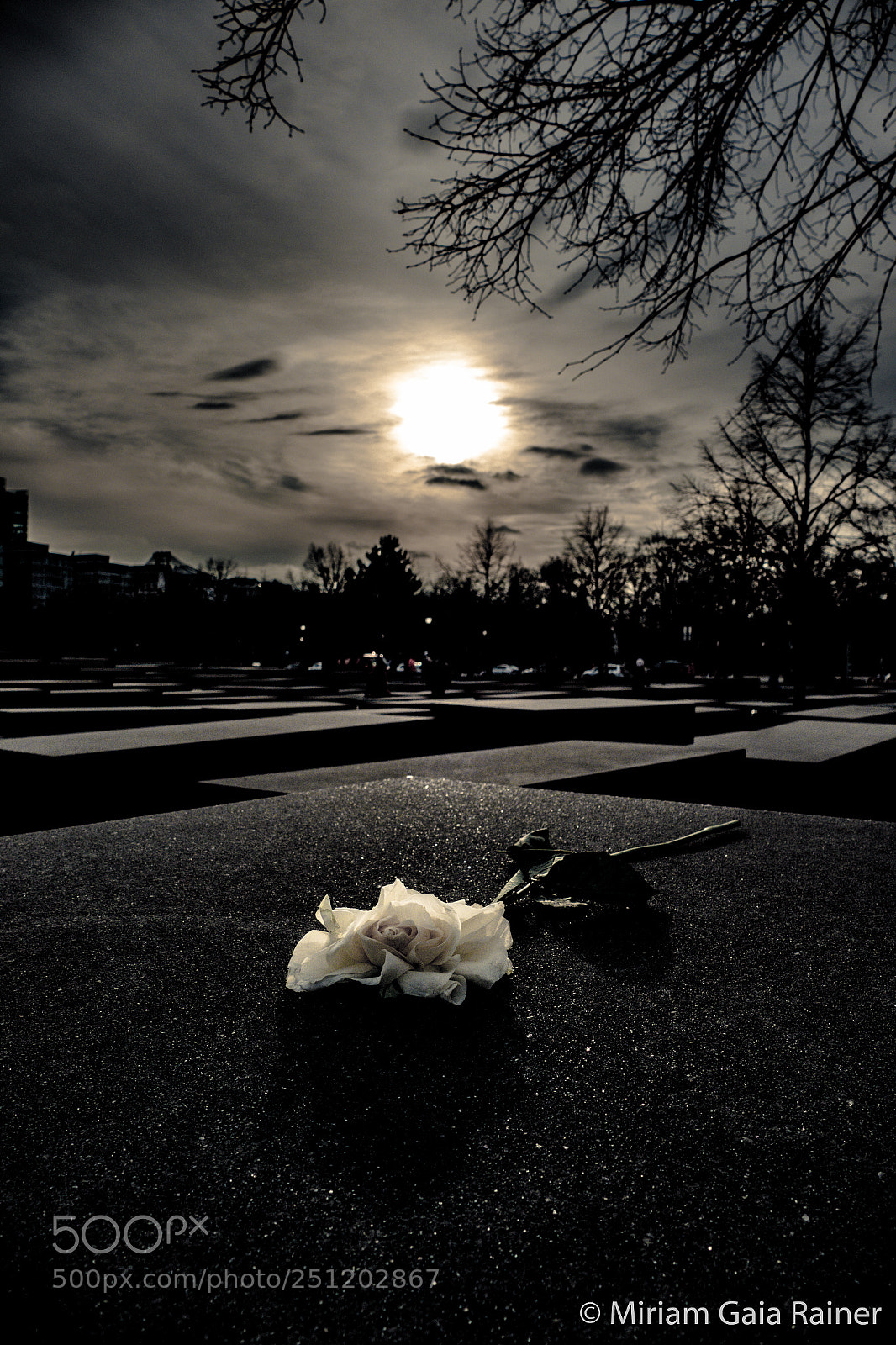 Panasonic Lumix DMC-FZ1000 sample photo. Holocaust-mahnmal photography
