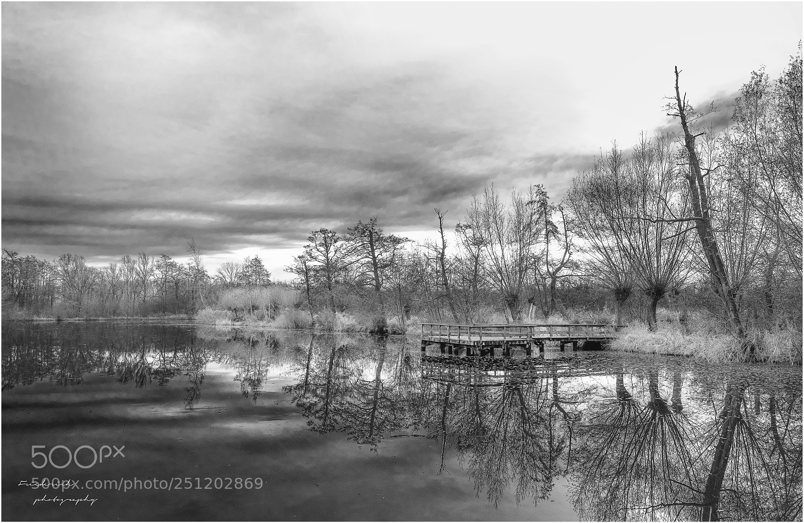 Fujifilm X-T1 sample photo. Pond photography