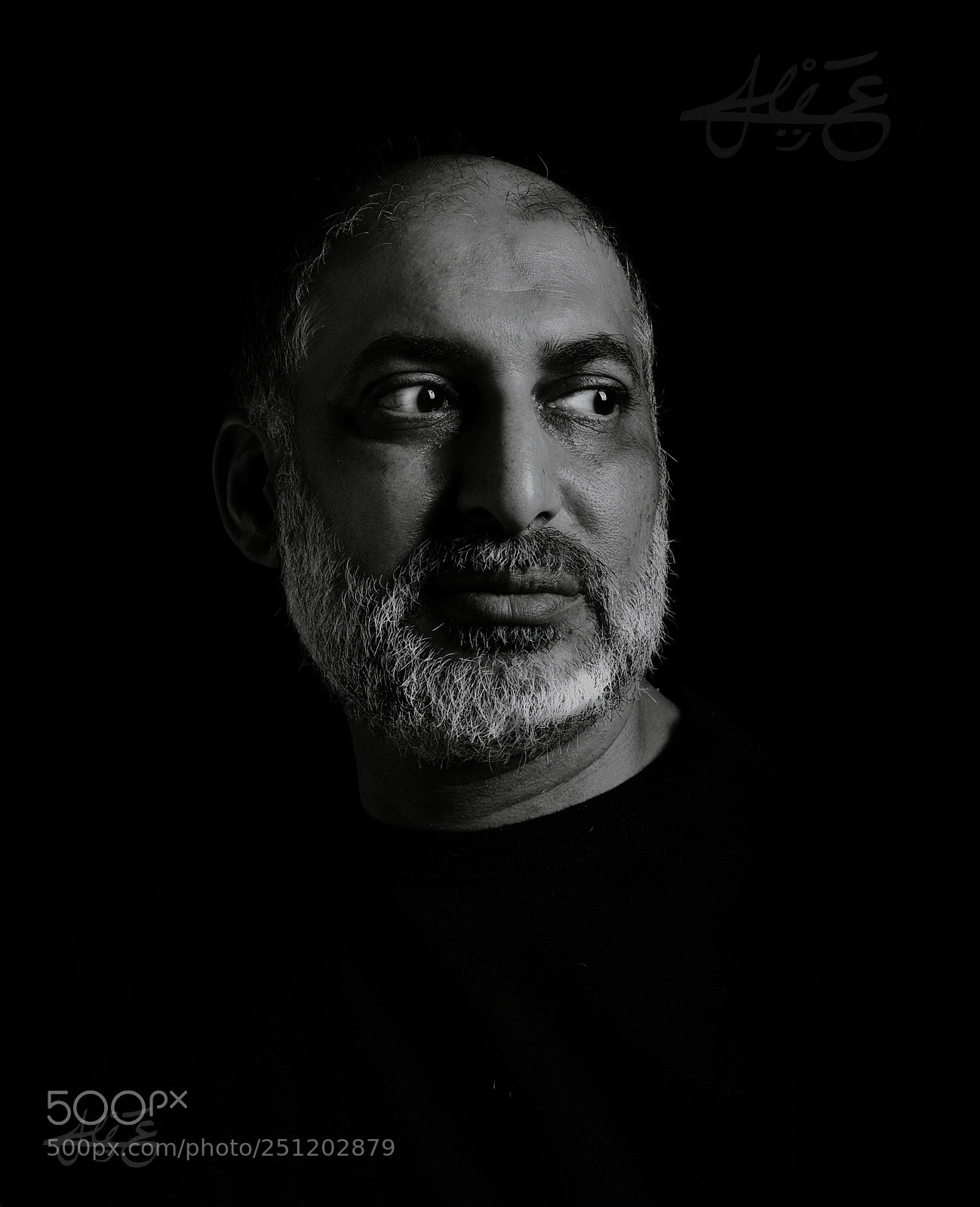 Nikon D800 sample photo. Untitled photography