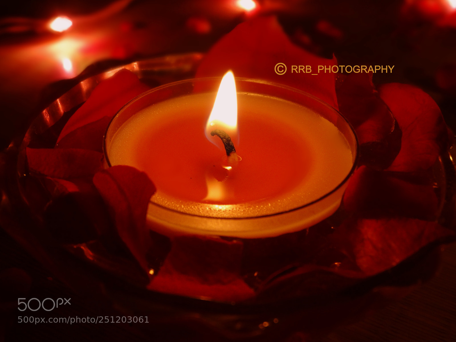 Sony Cyber-shot DSC-HX300 sample photo. Candela photography