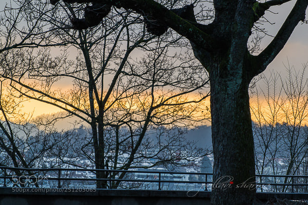 Nikon D3100 sample photo. Fire in the sky photography