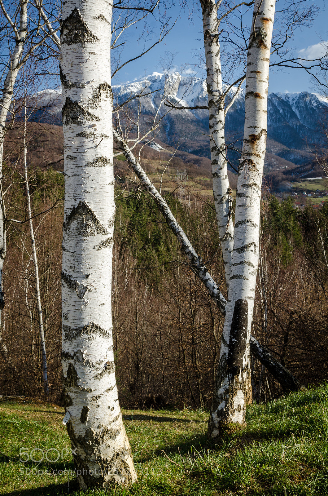 Nikon D7000 sample photo. Tarcin photography