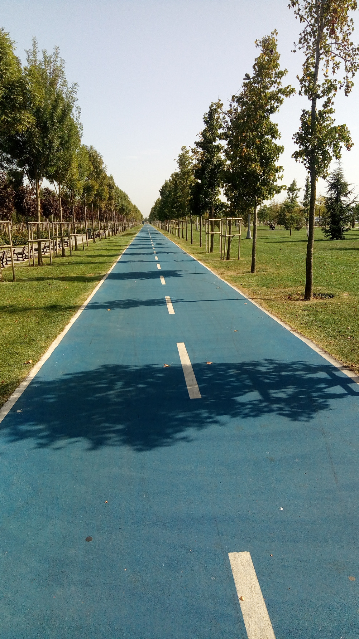 ASUS ZenFone 3 Max (ZC520TL) sample photo. Bikelane photography