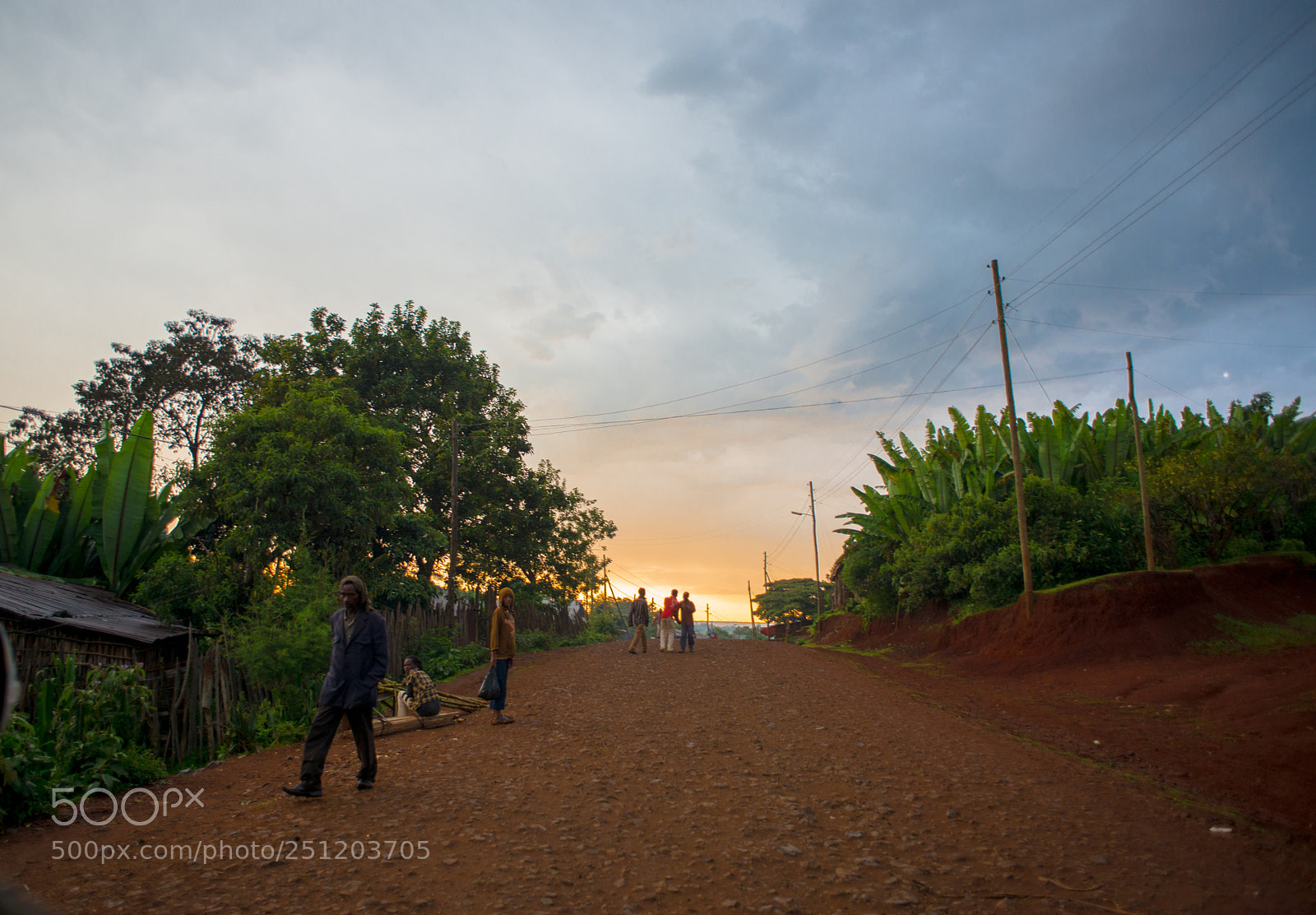 Nikon D800 sample photo. Rural road, somewhere in photography