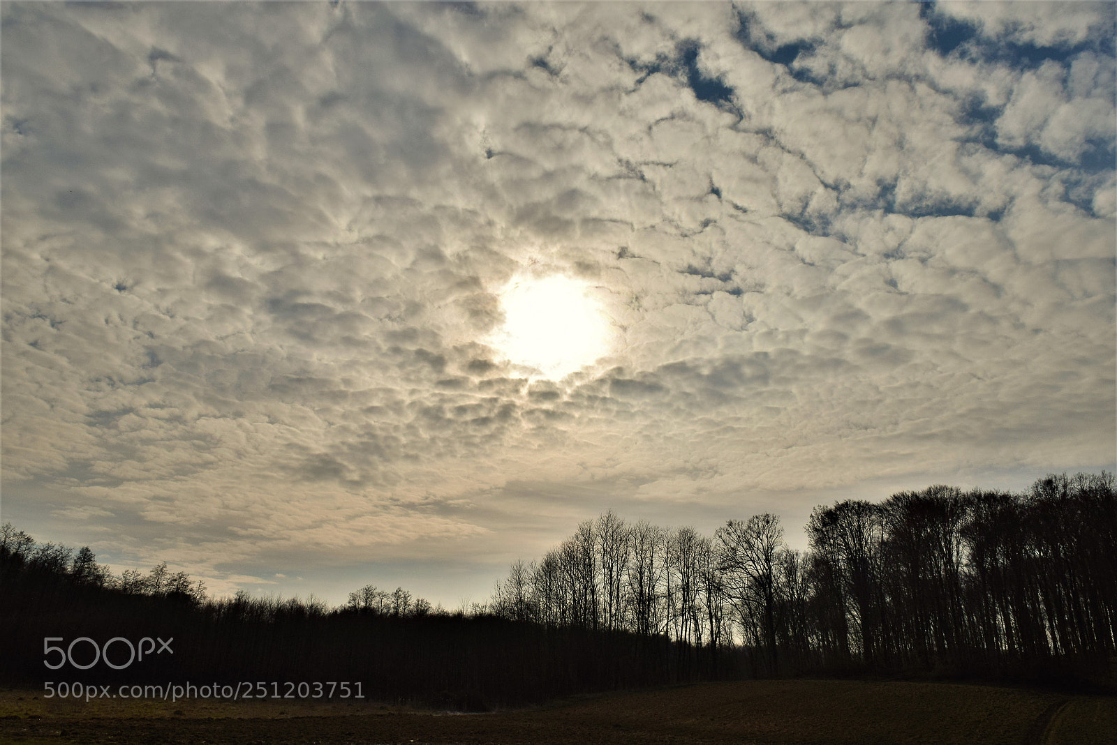 Nikon D3300 sample photo. Krivaja photography