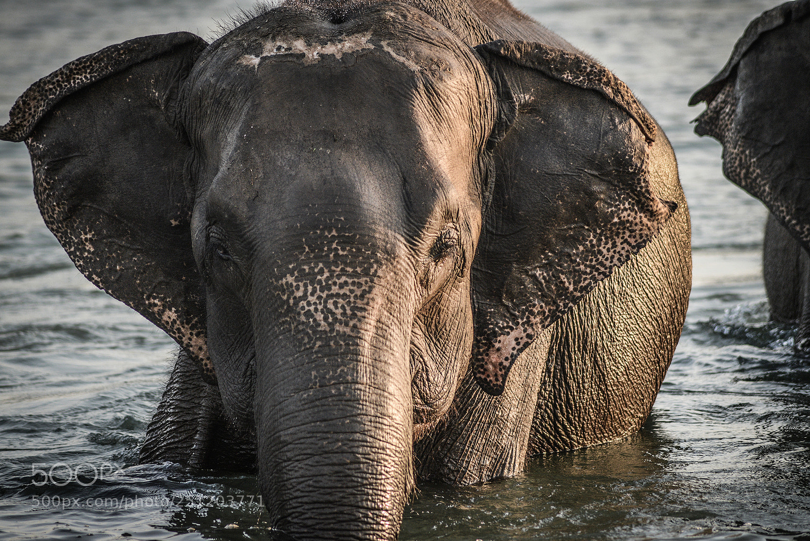 Nikon D600 sample photo. Nepal photography