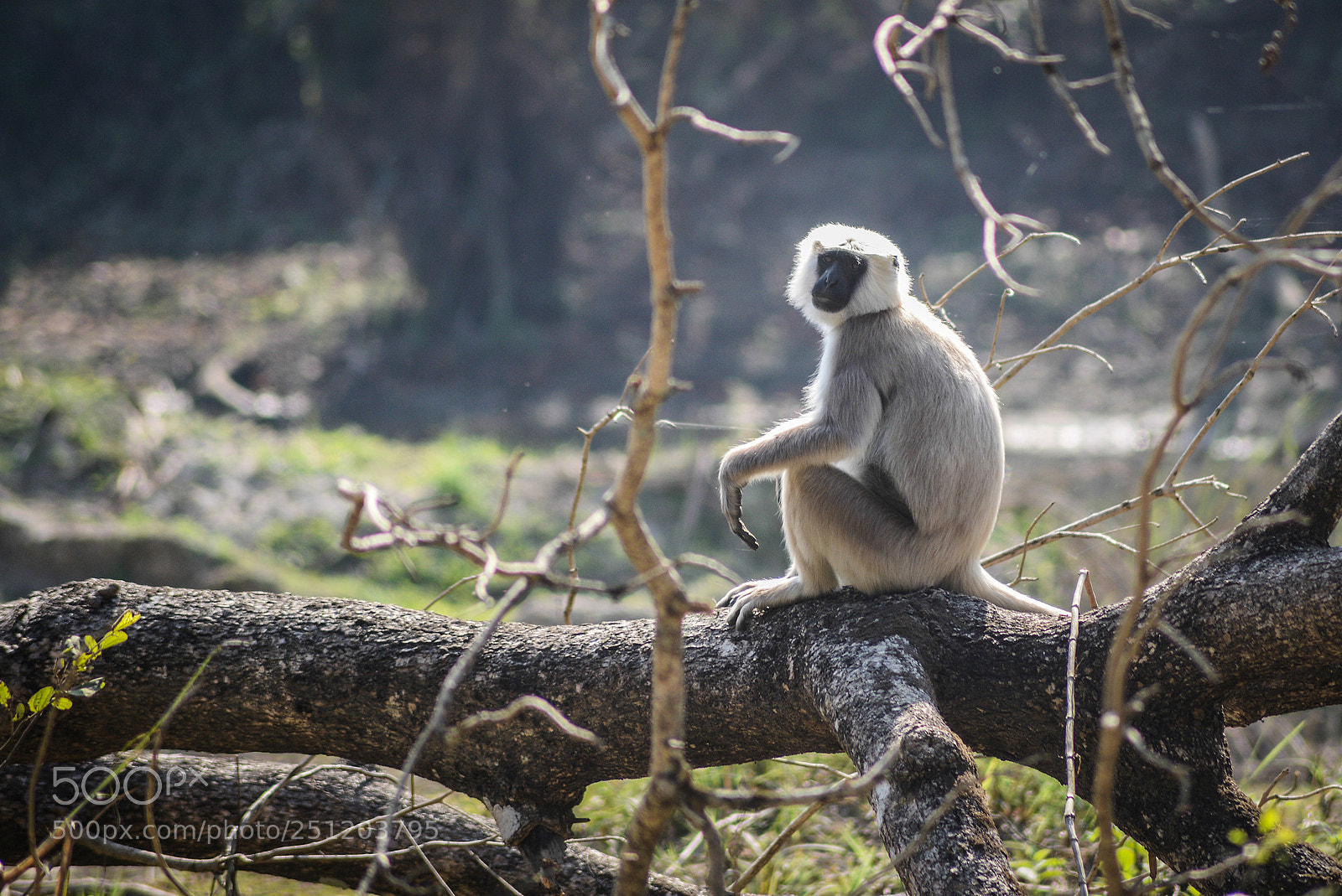Nikon D600 sample photo. Nepal photography