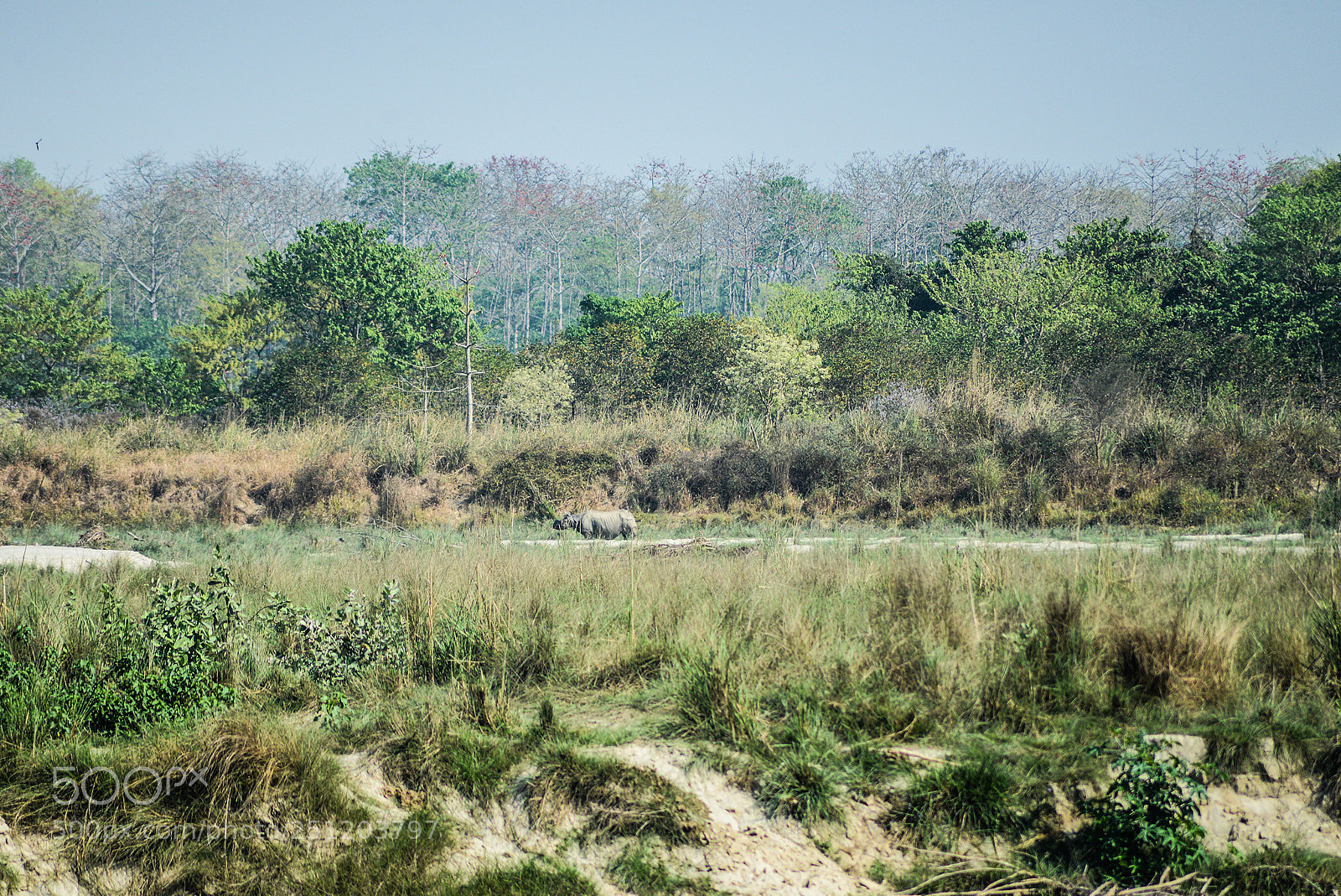 Nikon D600 sample photo. Nepal photography