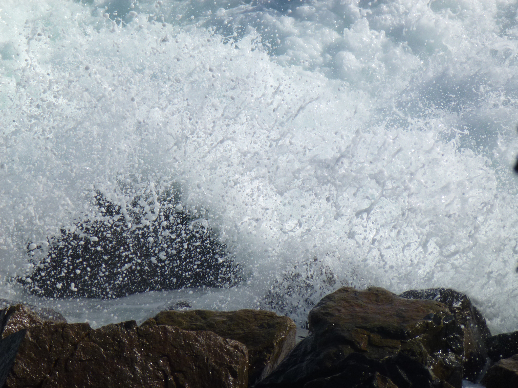 Panasonic DMC-ZS10 sample photo. Rough surf at bar harbor maine photography