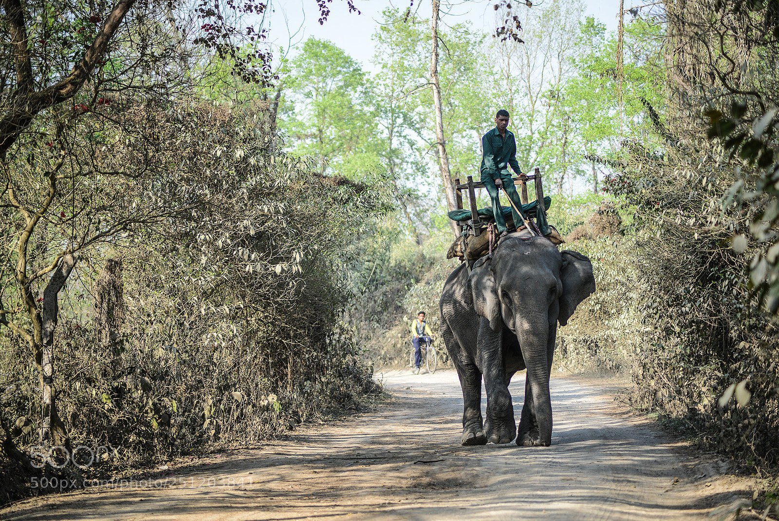 Nikon D600 sample photo. Nepal photography