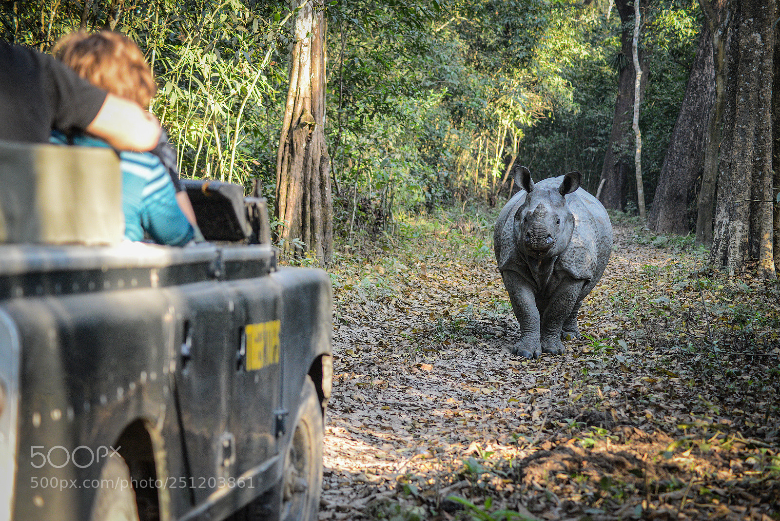 Nikon D600 sample photo. Nepal photography