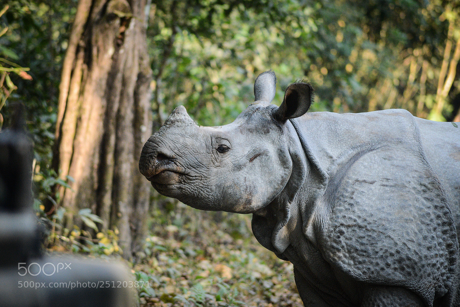 Nikon D600 sample photo. Nepal photography
