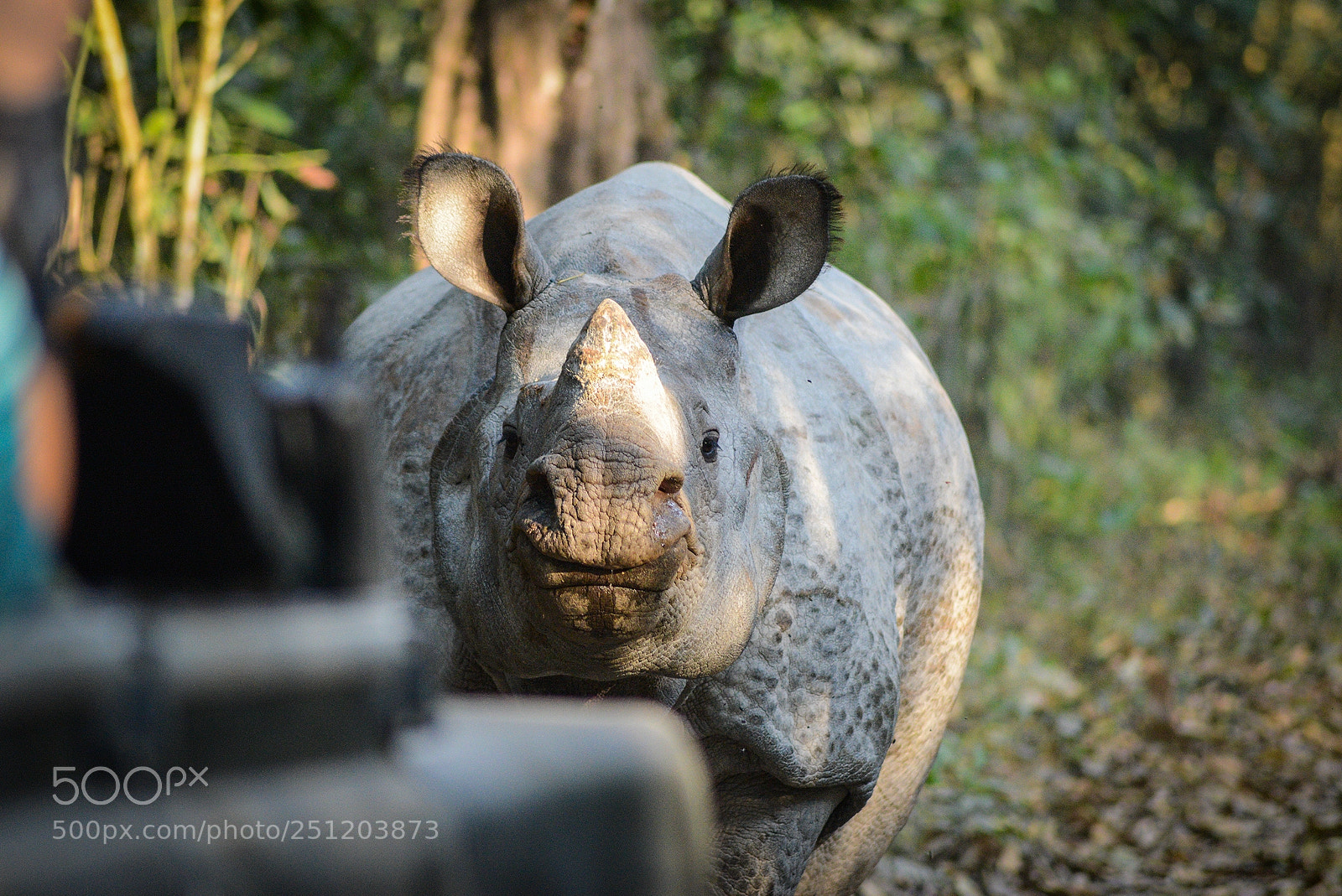Nikon D600 sample photo. Nepal photography
