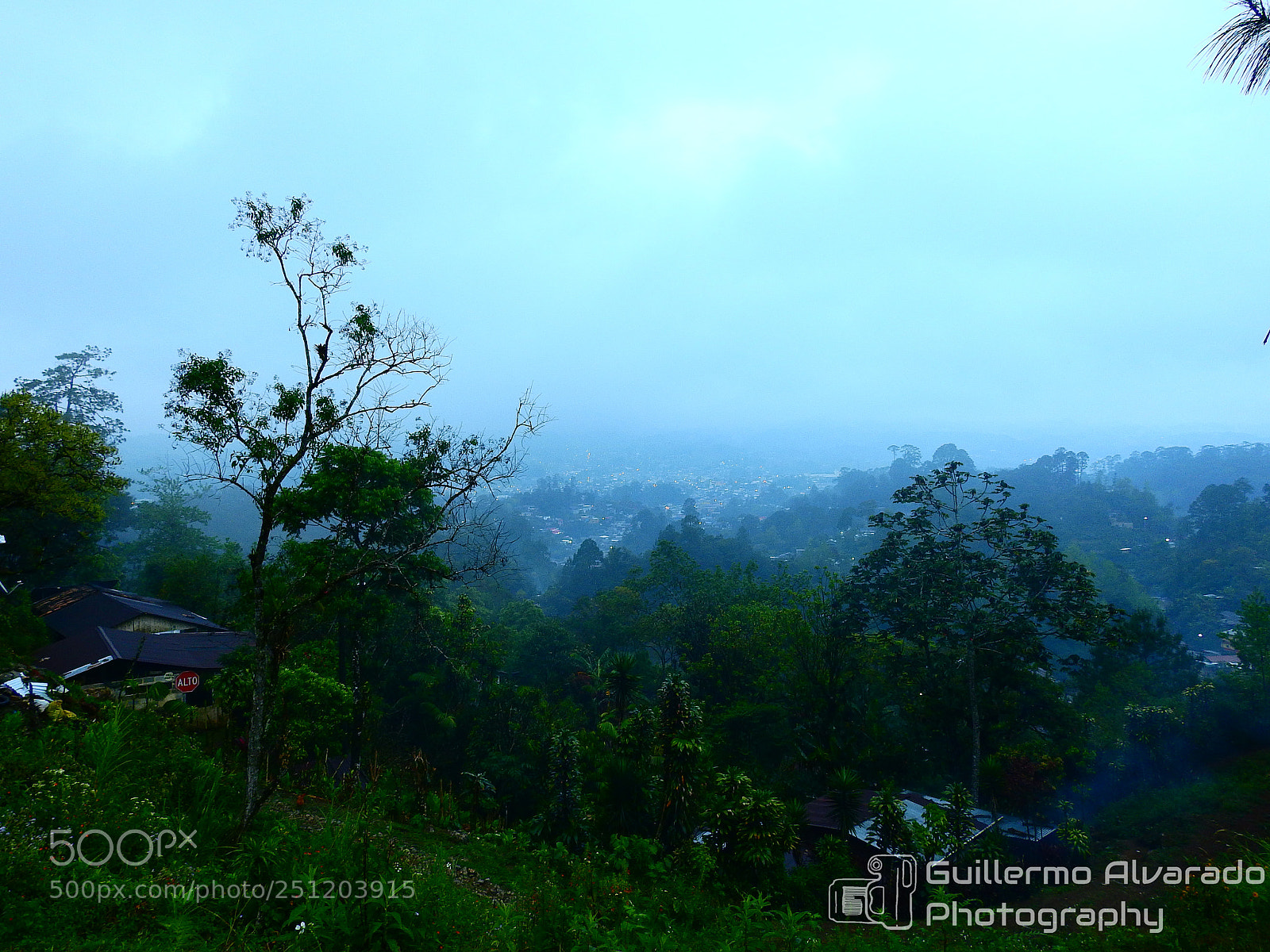 Nikon Coolpix P900 sample photo. Coban morning photography