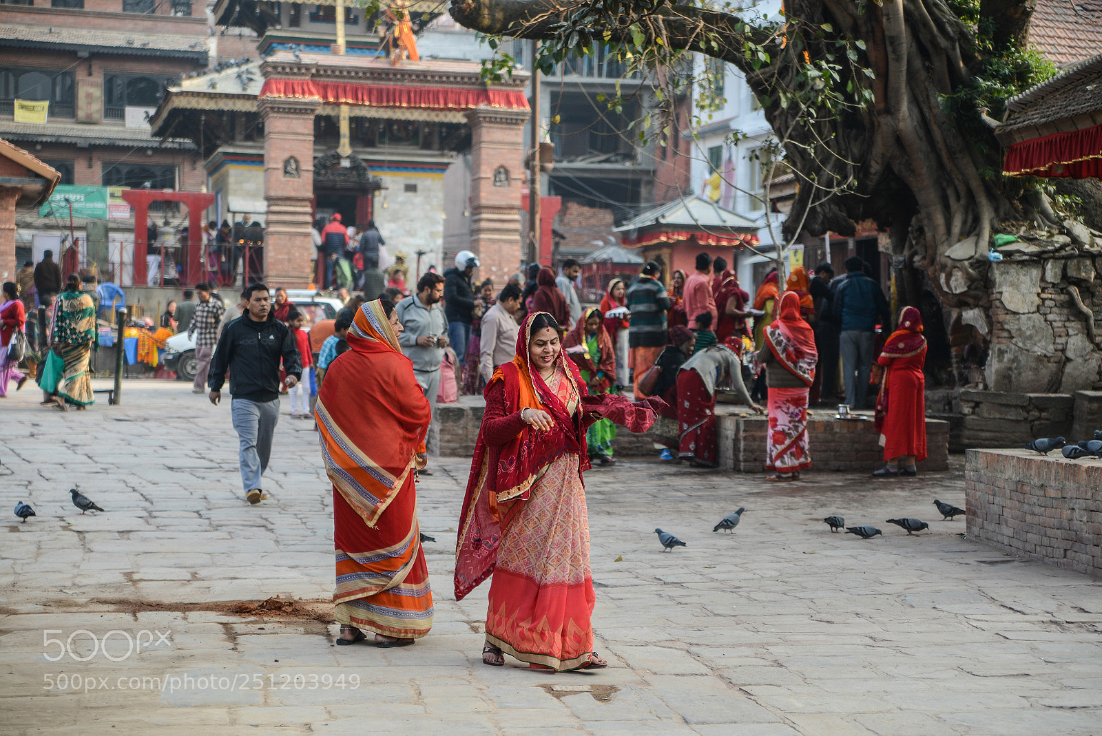 Nikon D600 sample photo. Nepal photography