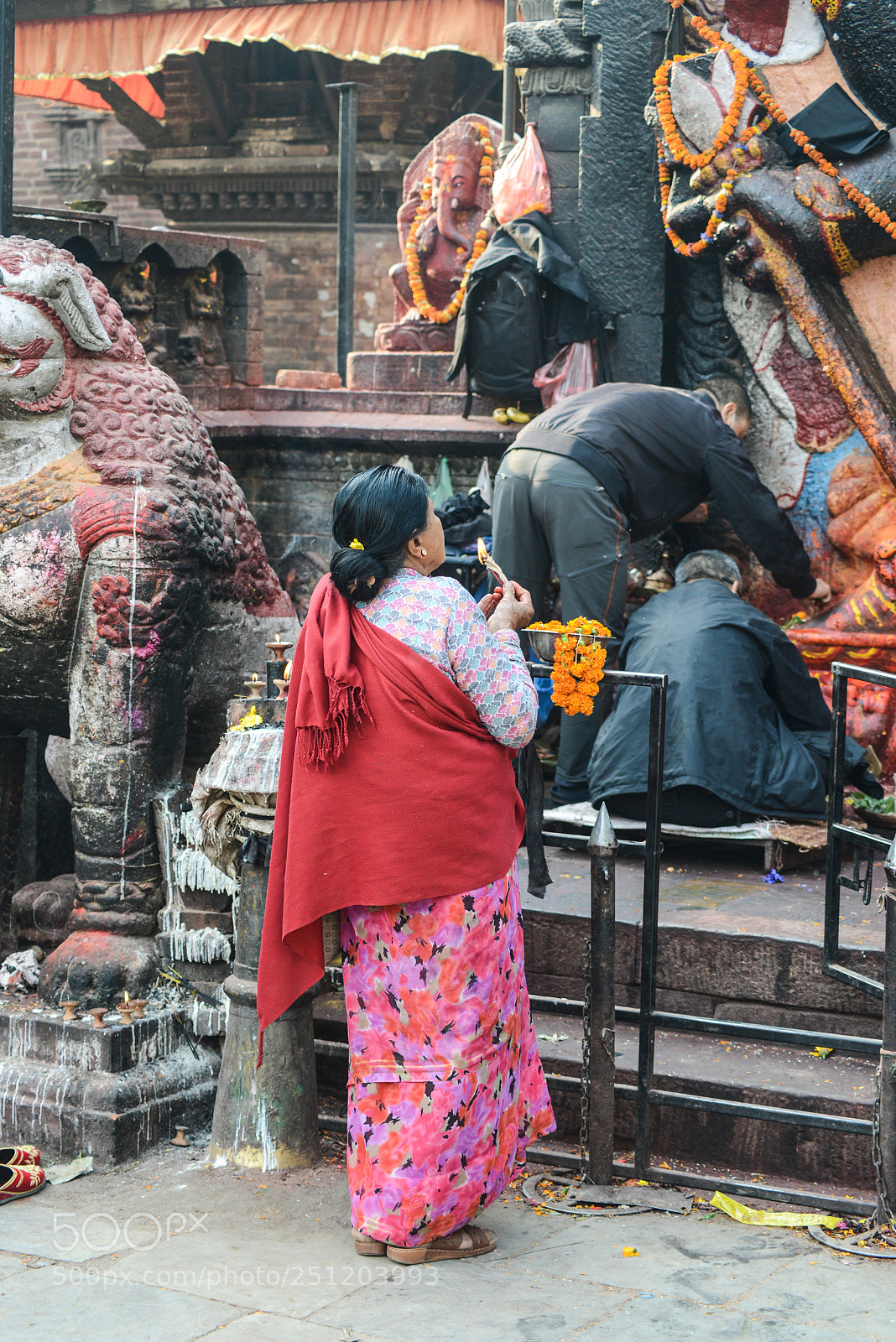 Nikon D600 sample photo. Nepal photography