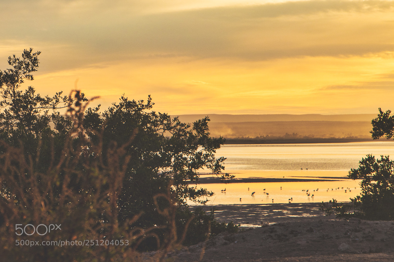 Canon EOS 77D (EOS 9000D / EOS 770D) sample photo. Atardecer en los mangles photography