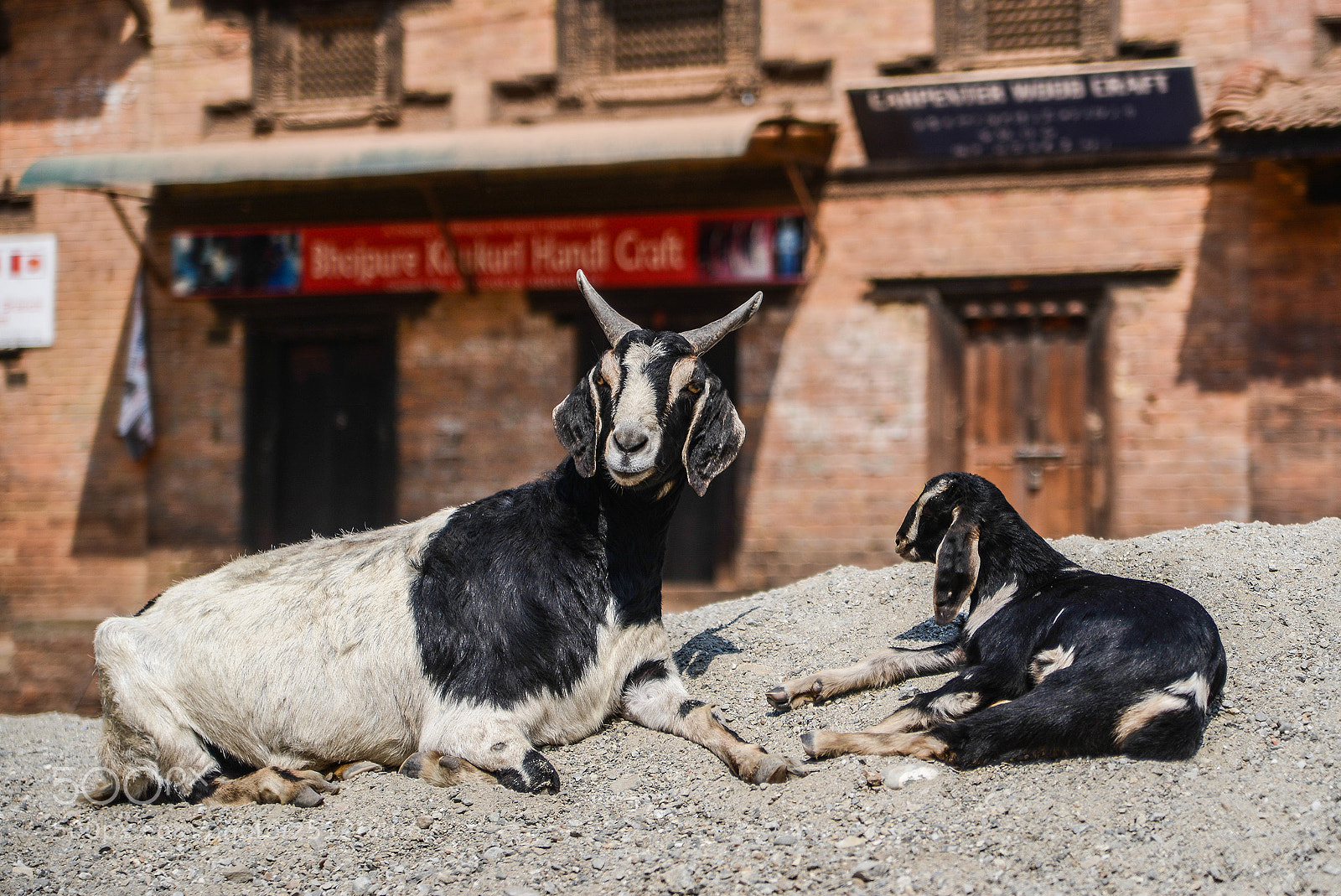 Nikon D600 sample photo. Nepal photography