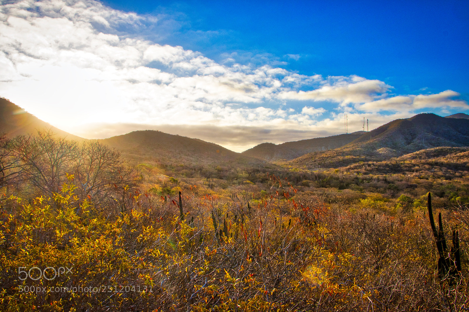 Canon EOS 77D (EOS 9000D / EOS 770D) sample photo. Brecha a san antonio photography