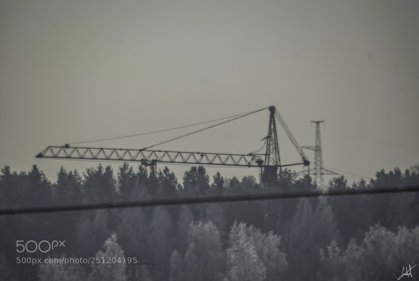 Nikon D200 sample photo. Crane photography