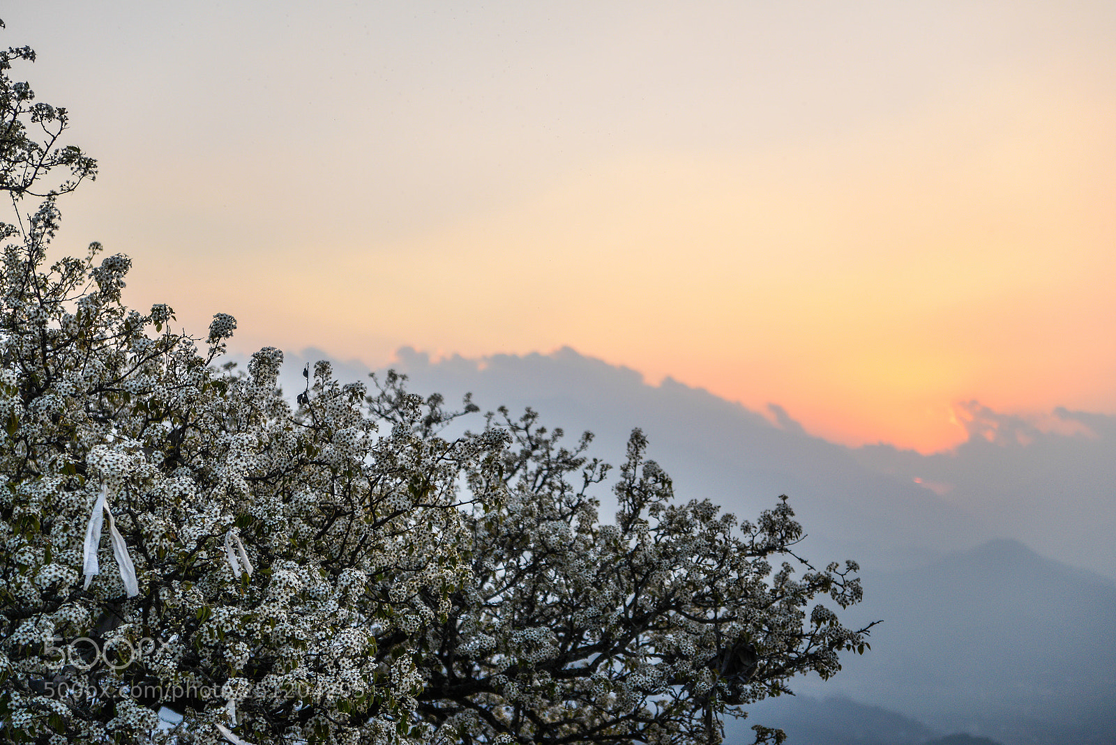 Nikon D600 sample photo. Nepal photography