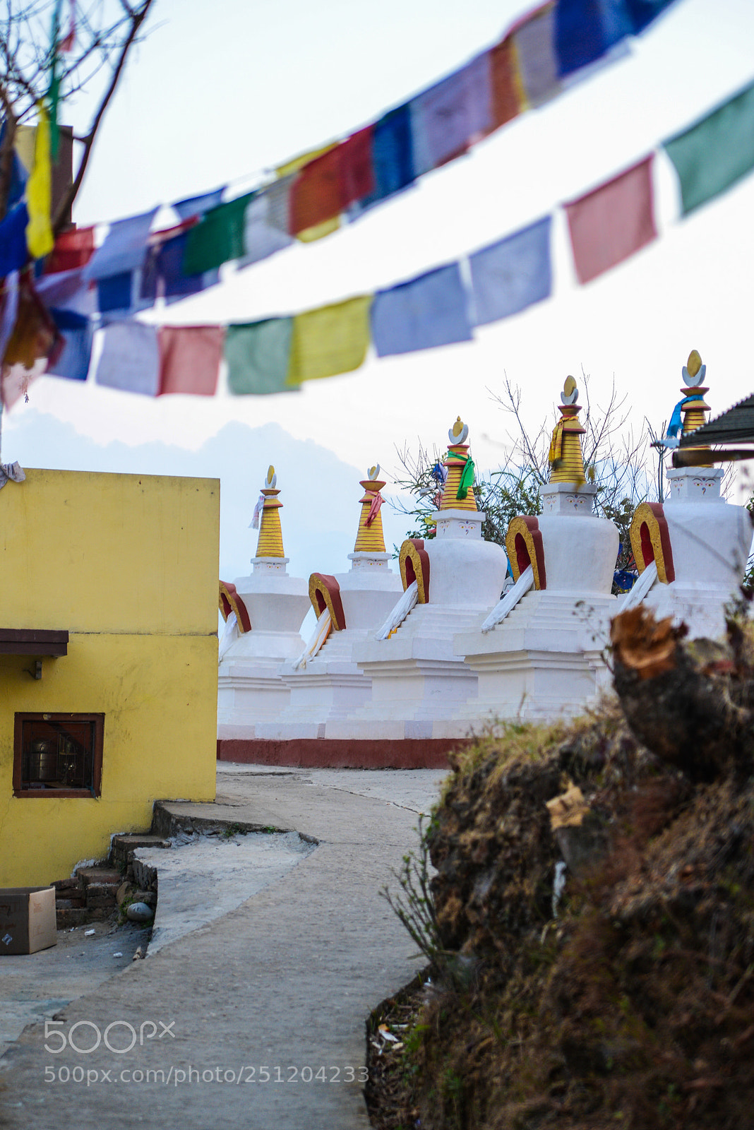 Nikon D600 sample photo. Nepal photography