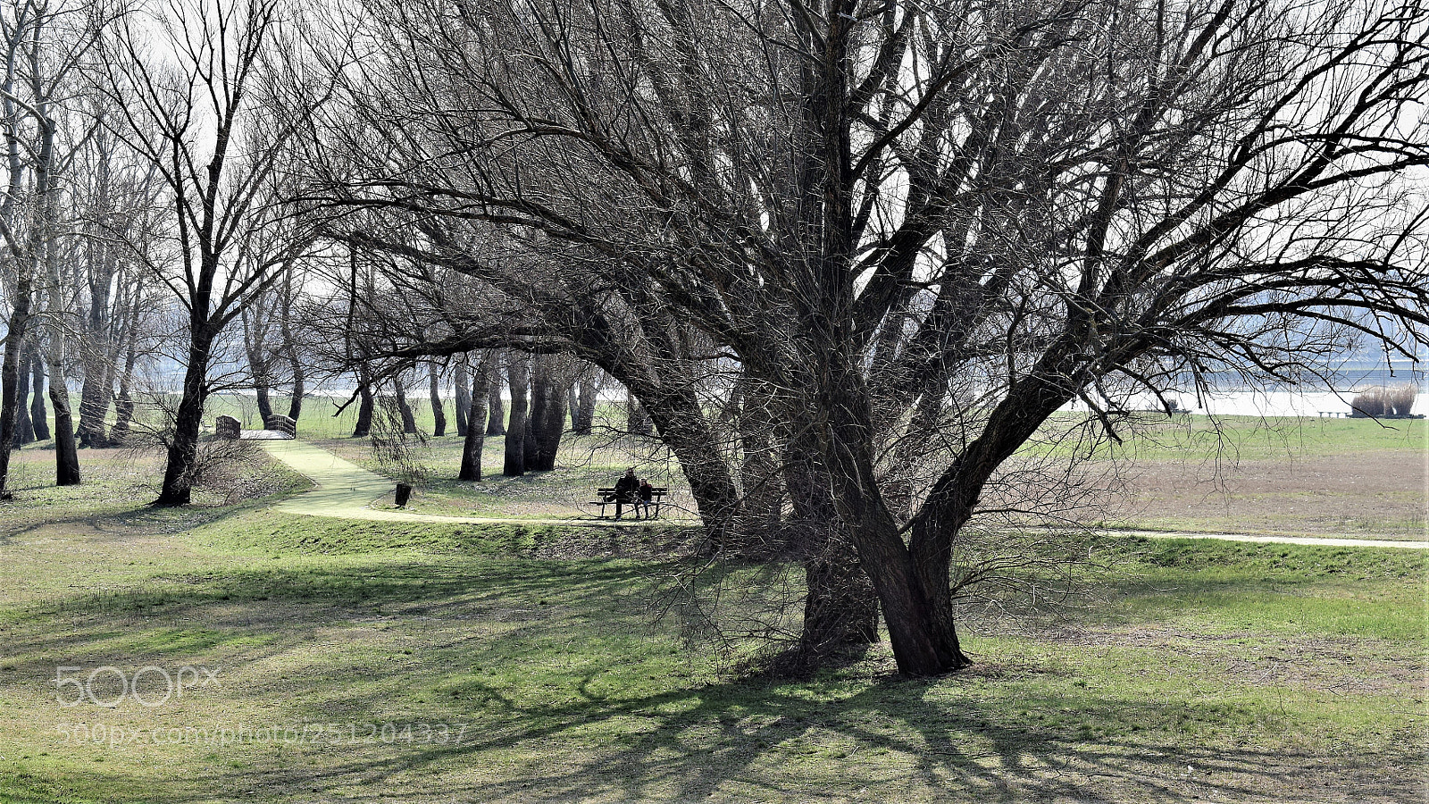 Nikon D5300 sample photo. Untitled photography