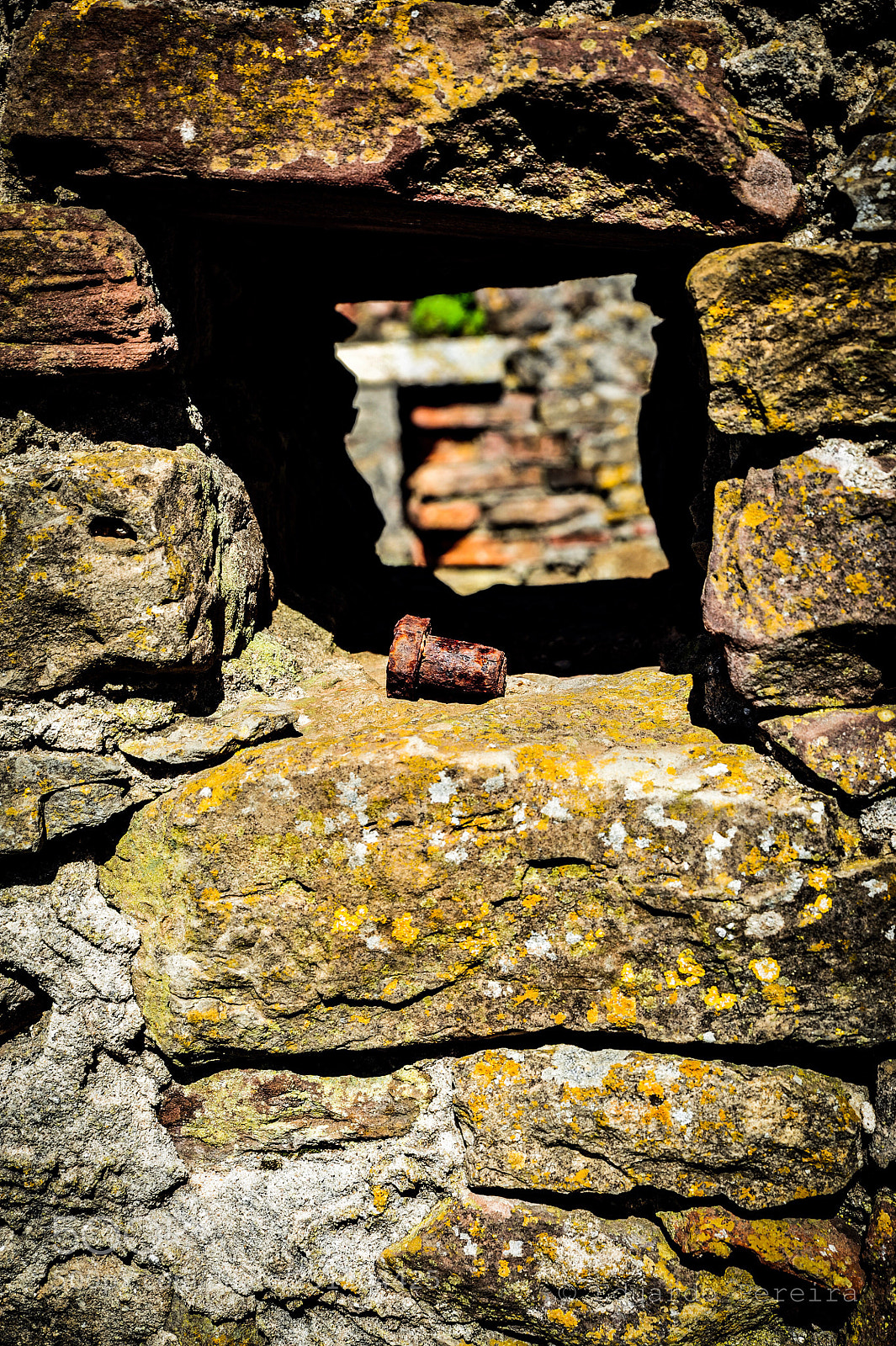 Nikon D700 sample photo. Untitled photography