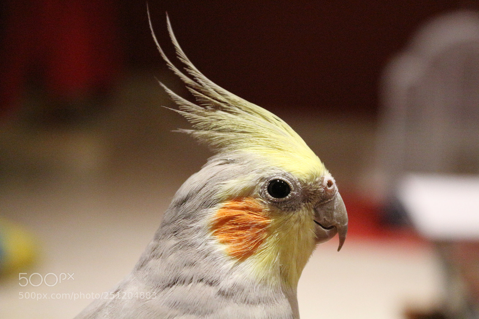 Canon EOS 700D (EOS Rebel T5i / EOS Kiss X7i) sample photo. Stick! photography