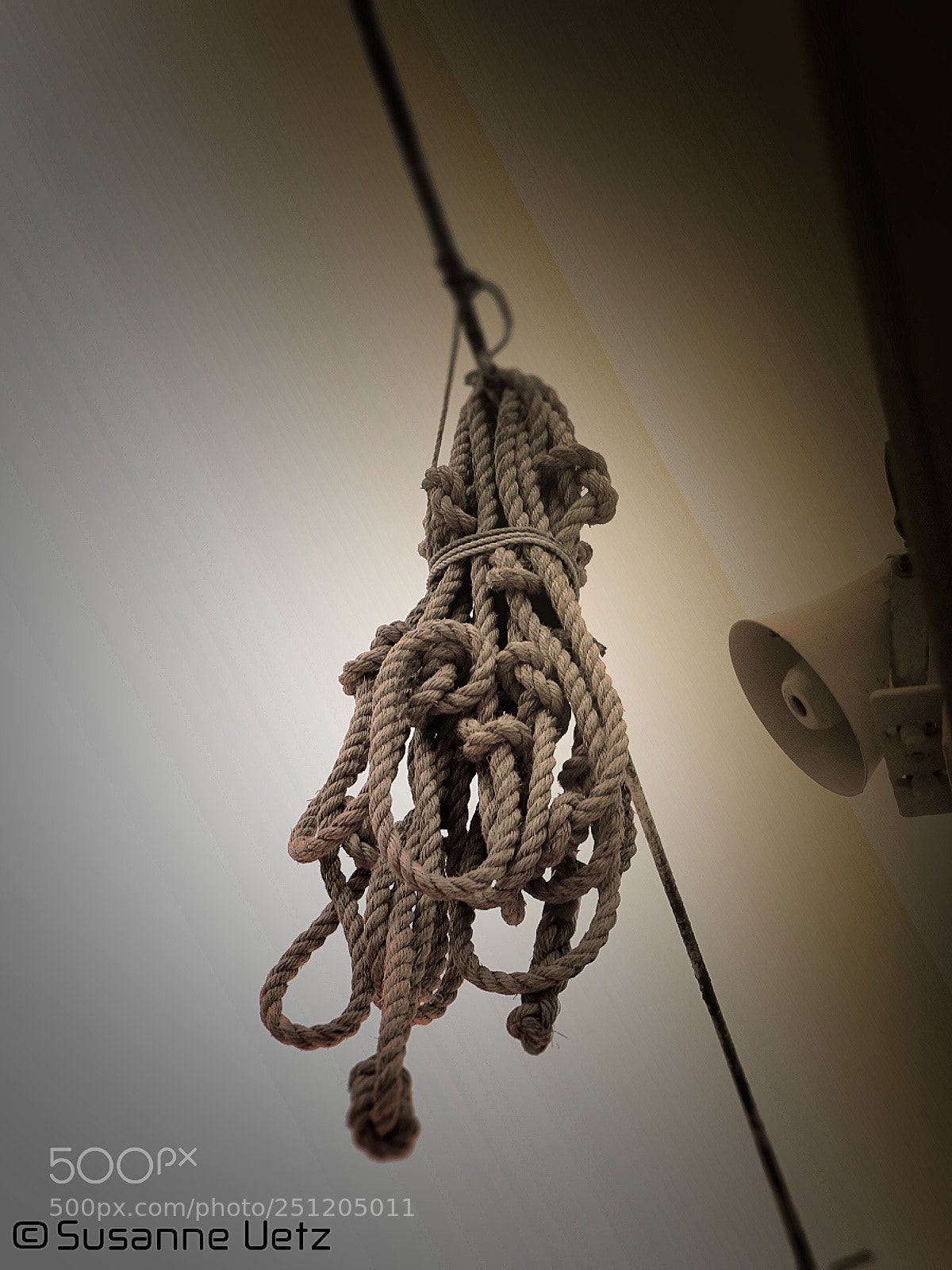 Canon EOS M10 sample photo. Knots photography