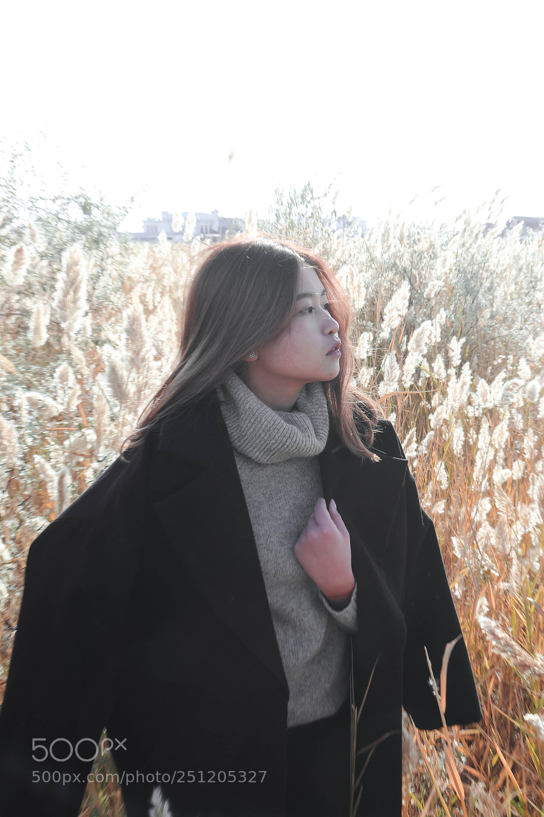 Canon EOS 700D (EOS Rebel T5i / EOS Kiss X7i) sample photo. Teplo photography