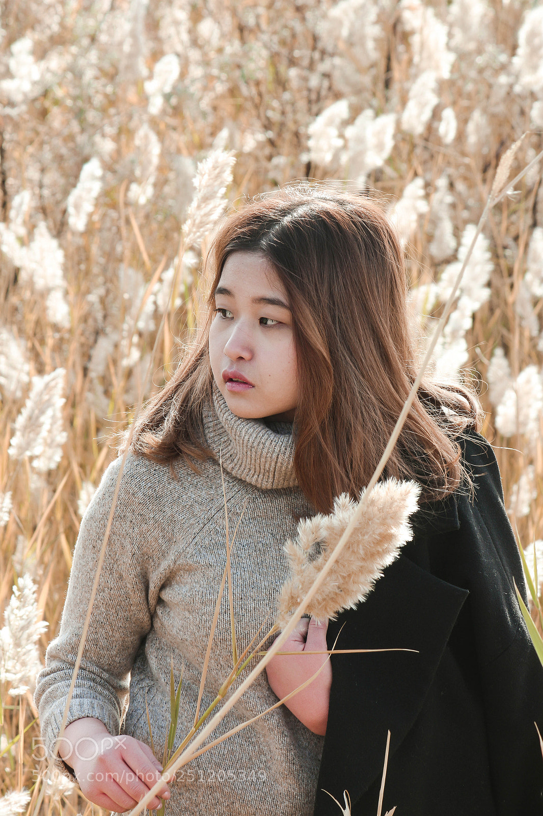 Canon EOS 700D (EOS Rebel T5i / EOS Kiss X7i) sample photo. Teplo photography