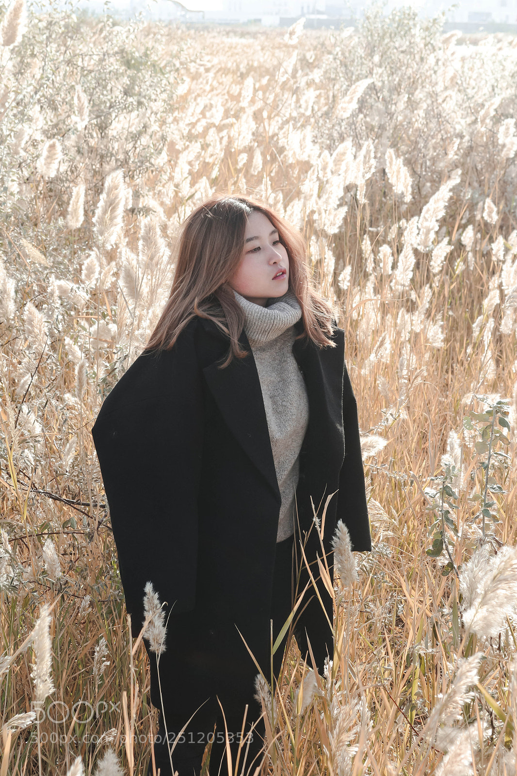 Canon EOS 700D (EOS Rebel T5i / EOS Kiss X7i) sample photo. Teplo photography