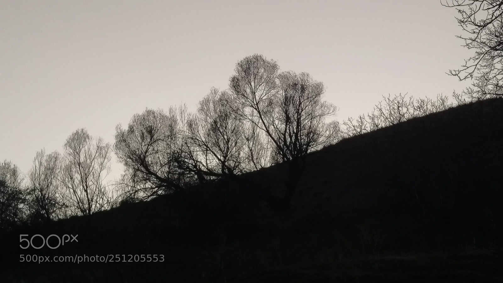 HTC ONE M9 sample photo. Symphony on a hill photography