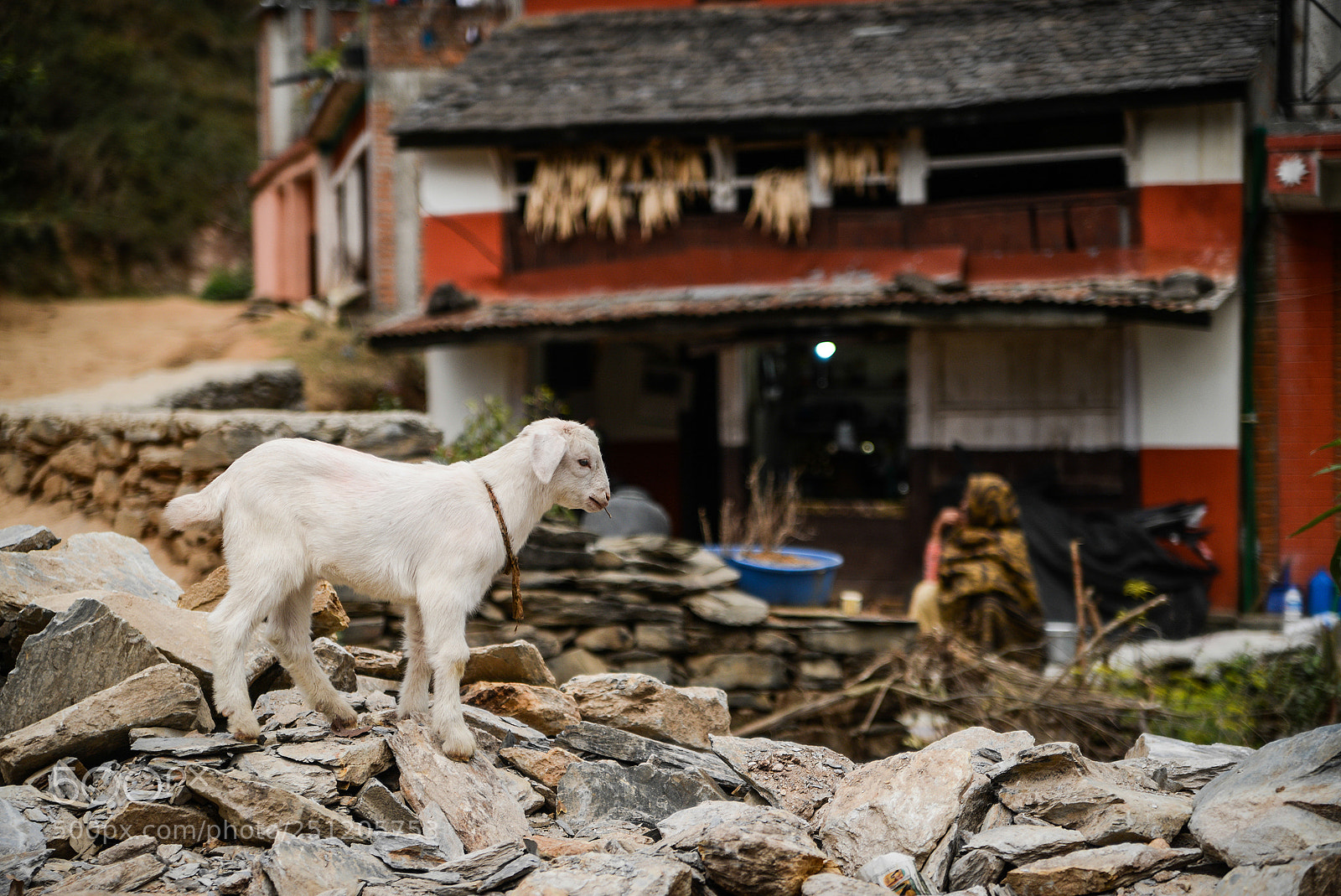 Nikon D600 sample photo. Nepal photography